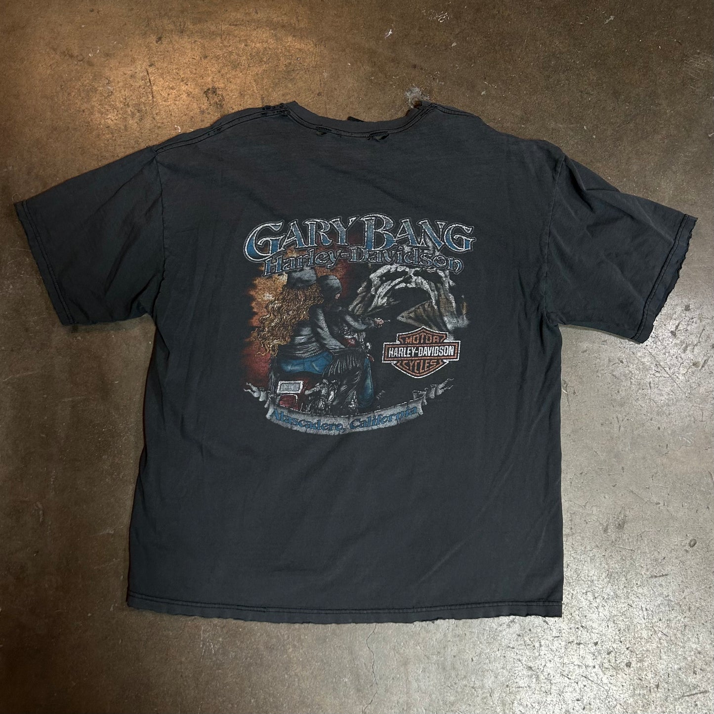 Vintage Harley T-Shirt